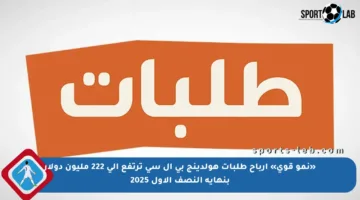 «نمو قوي» أرباح طلبات هولدينج بي إل سي ترتفع إلى 222 مليون دولار بنهاية النصف الأول 2025